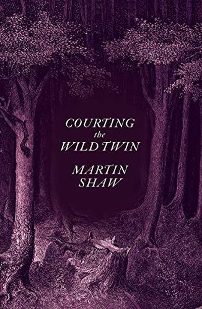 the cover of courting the wild twin