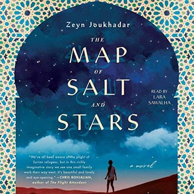 the cover of the map of salt and stars